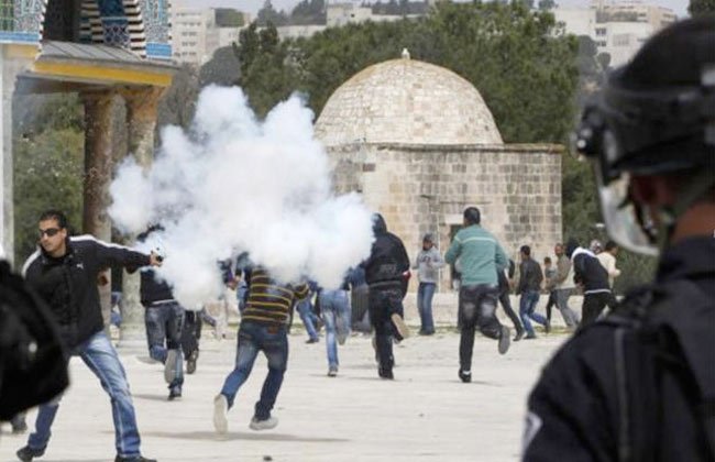  مخلص قطب يدين إقتحام القوات الإسرائيلية للمسجد الاقصى 